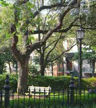 A view in one of Savannah, GA's squares.